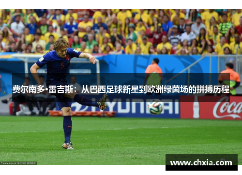 费尔南多·雷吉斯：从巴西足球新星到欧洲绿茵场的拼搏历程