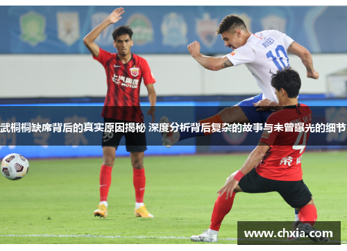 武桐桐缺席背后的真实原因揭秘 深度分析背后复杂的故事与未曾曝光的细节