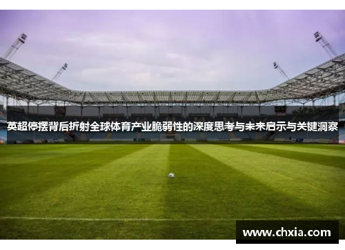 英超停摆背后折射全球体育产业脆弱性的深度思考与未来启示与关键洞察